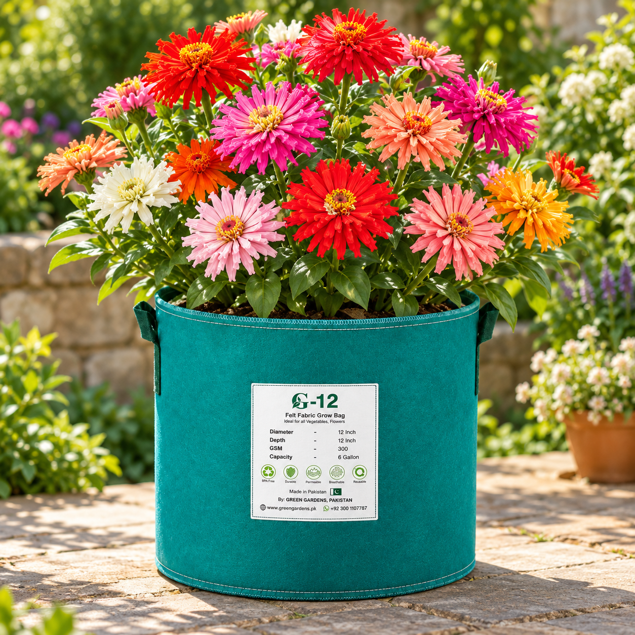Zinnia Burpeeana Mix with large colourful chrysanthemum-flowered double blooms – summer flower seeds for beds cut flowers pots and grow bags in Pakistan