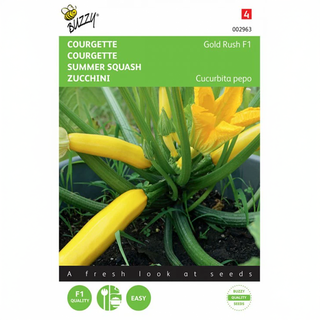 Zucchini (Summer Squash) Gold Rush, F1 - Holland {SUMMER} 2g
