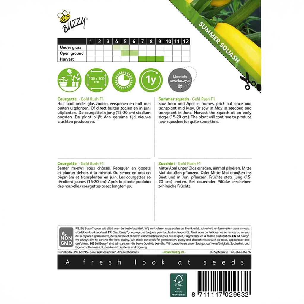 Zucchini (Summer Squash) Gold Rush, F1 - Holland {SUMMER} 2g