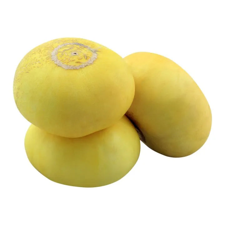Melon Yellow Seeds (SUMMER) خربوزہ