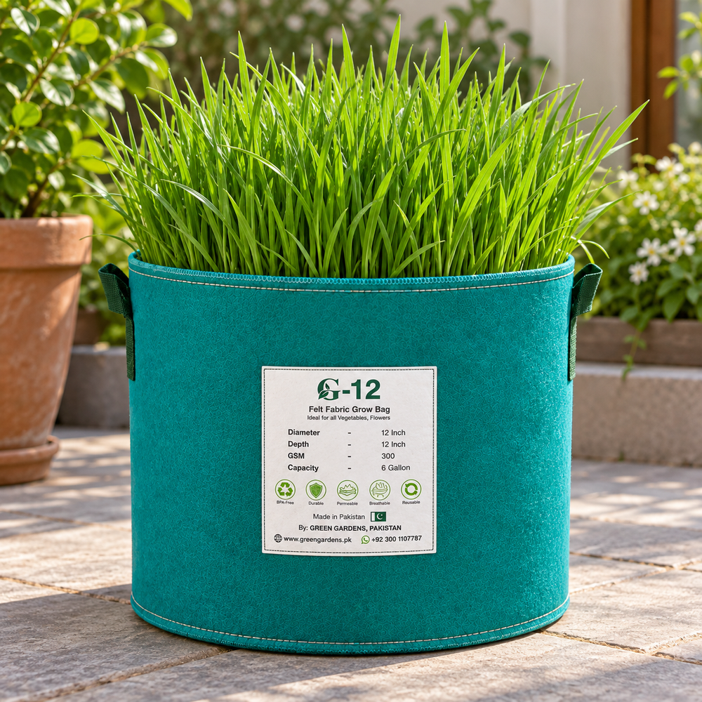 Dog grass growing in GREEN GARDENS G-12 felt fabric grow bag