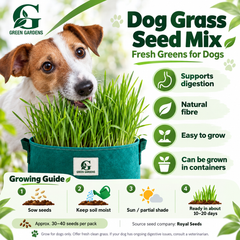 Dog Grass Seed Mix growing guide and product benefits