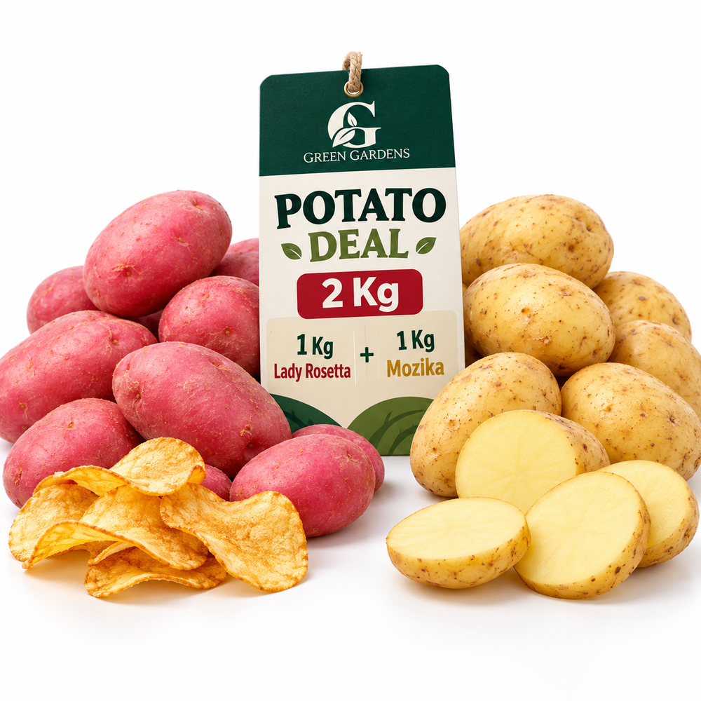 Potato Deal 2 Kg – Lady Rosetta 1 Kg and Mozika 1 Kg on clean white background with GREEN GARDENS label