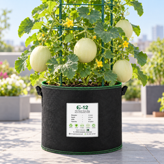 Honeydew Melon F1 Hybrid MDS-939 growing in original GREEN GARDENS G-12 grow bag with tag