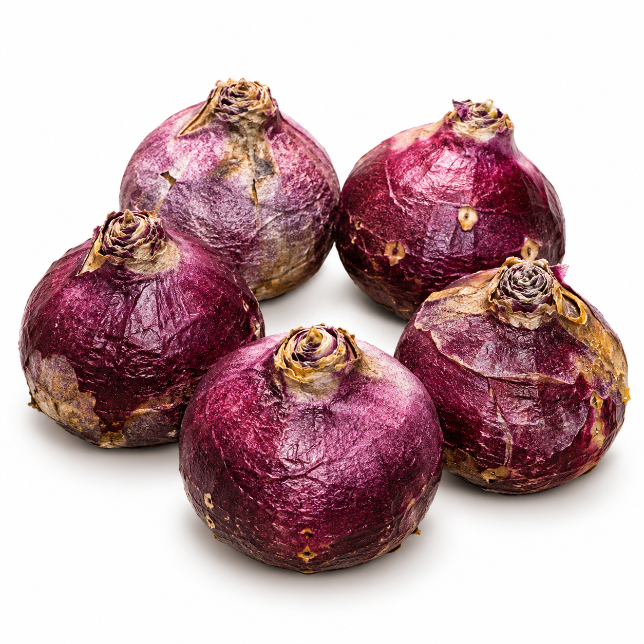 Five Hyacinth Mixed Colours bulbs on a pure white background