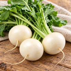 Japanese White Turnip freshly harvested white round roots with greens, hero image