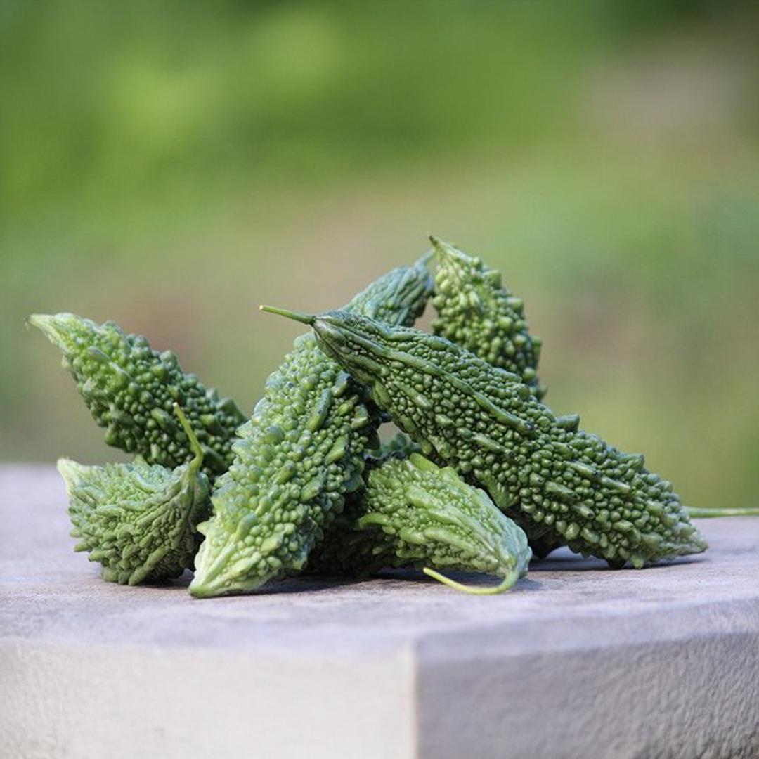 Bitter Gourd Seeds (Desi Karela) {SUMMER} دیسی کریلا