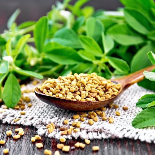Fenugreek  {WINTER} (Methry)  میتھرے