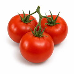 TETI tomato from Azerbaijan with firm uniform red round to slightly oval fruits – tomato seeds for home gardening in Pakistan