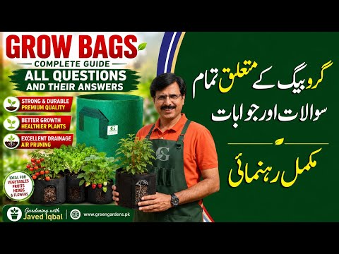 Grow Bag G-11 Black (Pack of 5) – 11×10 Inch Round Felt Fabric Grow Bags | 5 Gallon Each