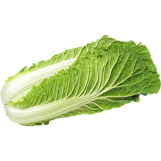 Chinese Cabbage Seeds (Napa Cabbage), F1 Hybrid {WINTER} چائنا گوبھی