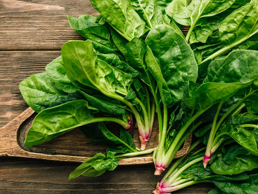 Spinach, F1 Hybrid (Broad Leaf) (WINTER/ SUMMER) پالک