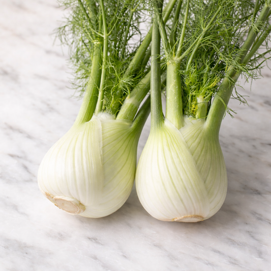 Fennel Seeds سونف (WINTER)