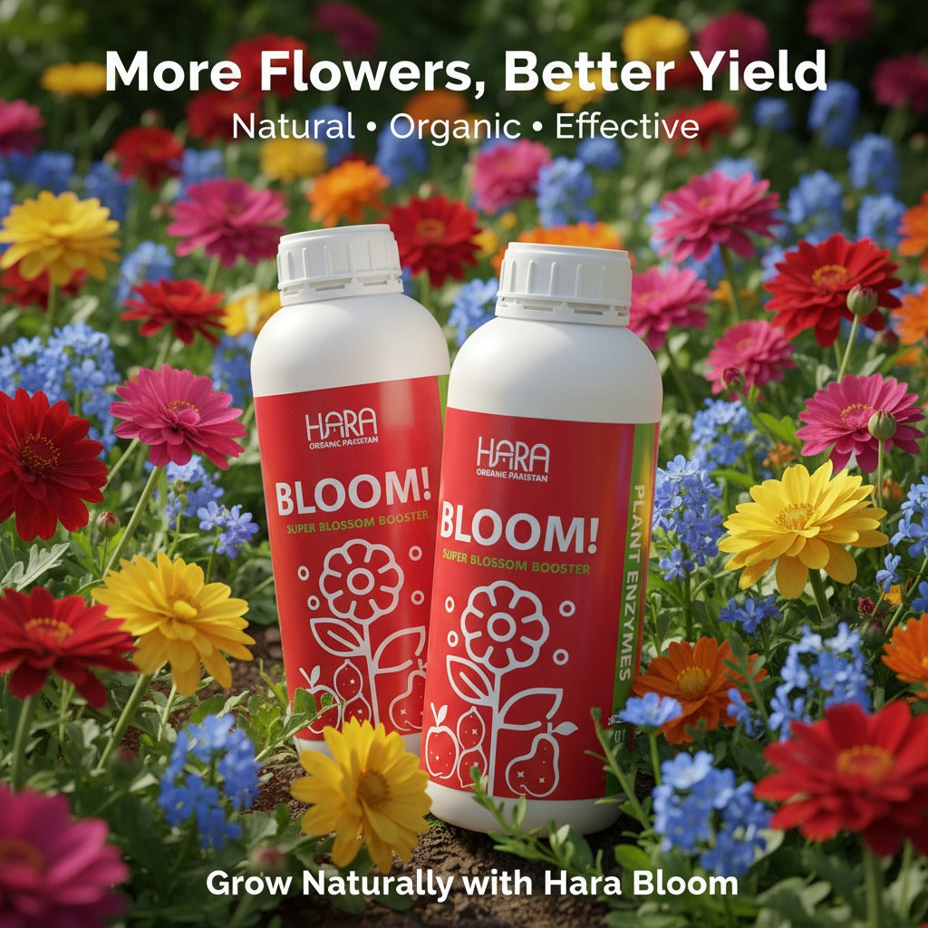 GROW & BLOOM Deal (500ml)