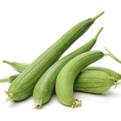Sponge Gourd, F1 Hybrid (SUMMER) گھیا توری