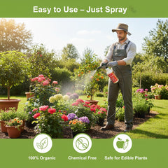 BLOOM by HARA ORGANIC Pakistan - 1 Ltr (Blossom Booster)