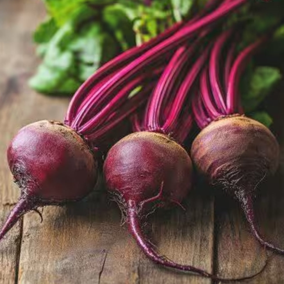 Beetroot Seeds (WINTER)   چقندر