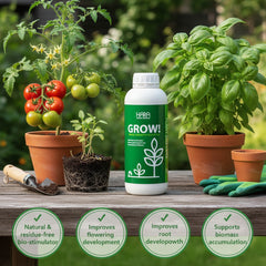 GROW & BLOOM Deal (500ml)