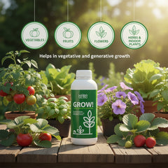 GROW & BLOOM Deal (500ml)