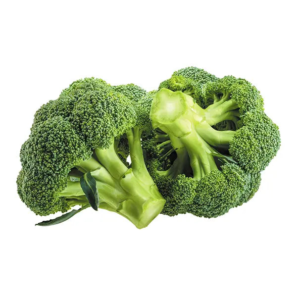 Broccoli Seeds - F1 Hybrid (WINTER) براکلی