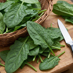 Lahori Palak Seeds (Cut Leaved) {WINTERS}
 دیسی لاہوری پالک