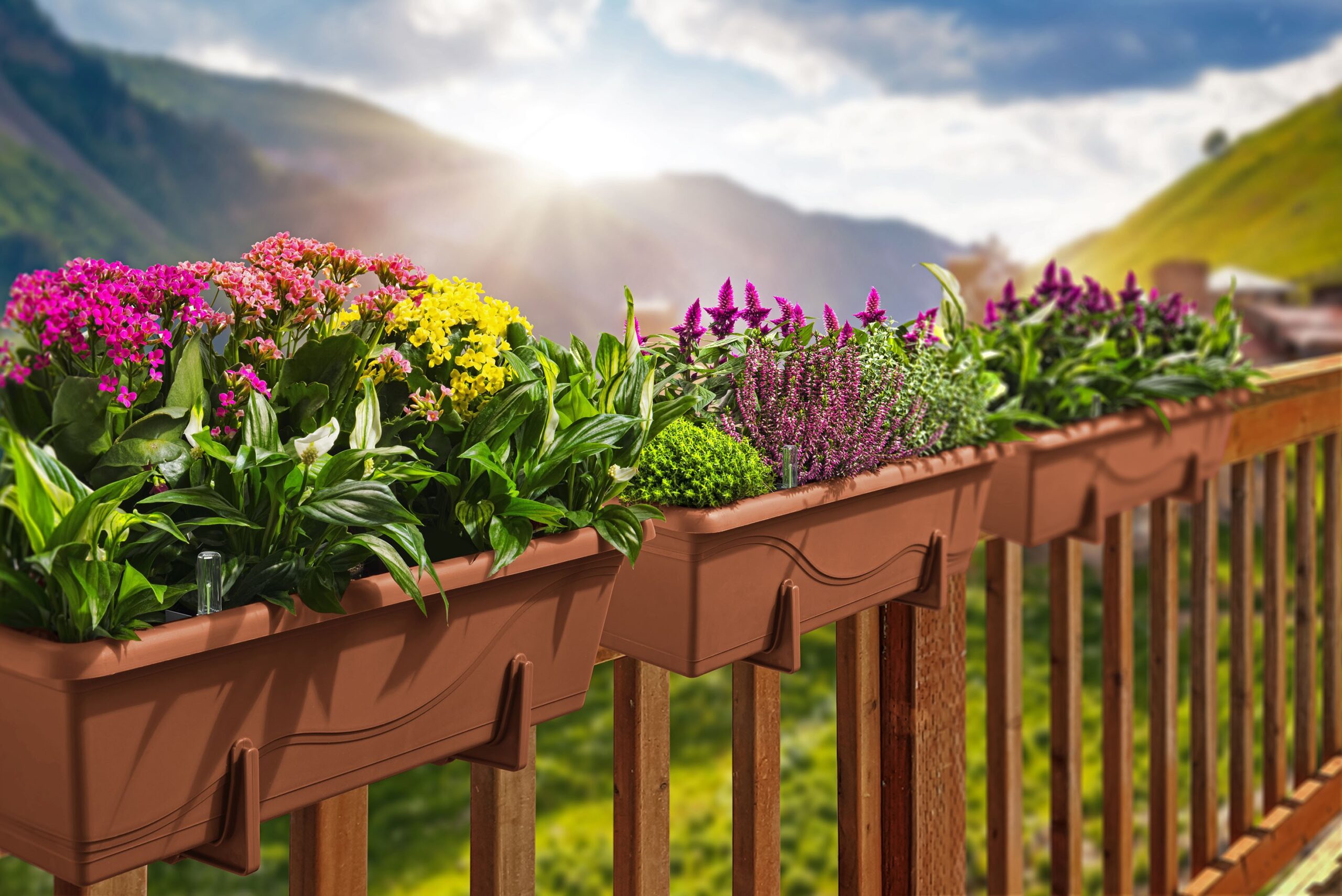 Rectangular Plastic Pot – 23"x8"x6" with Free Liner