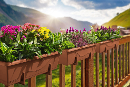 Rectangular Plastic Pot (Kiyari Gamla) – 23"x8"x6" with Free Liner