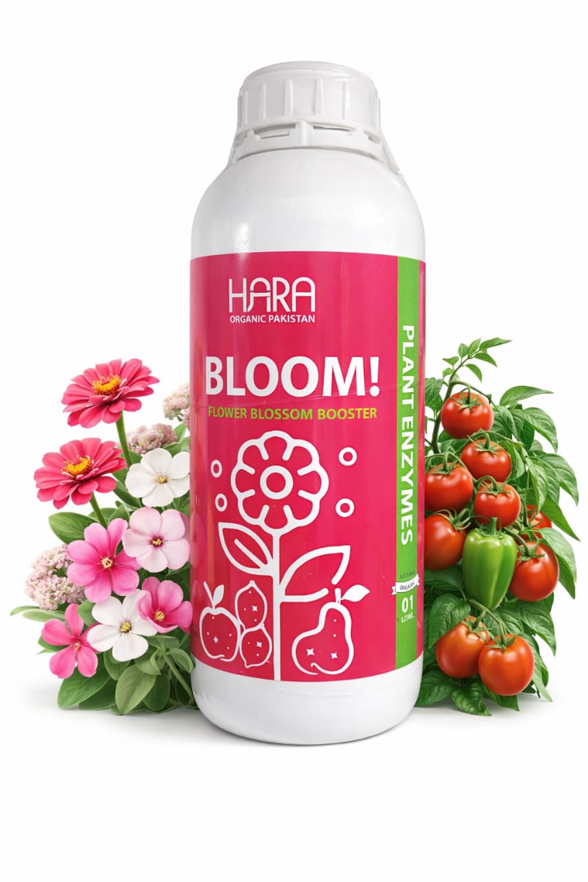 BLOOM by HARA ORGANIC Pakistan - 1 Ltr (Blossom Booster)