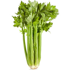 Celery F1 Seeds (WINTER) سیلری