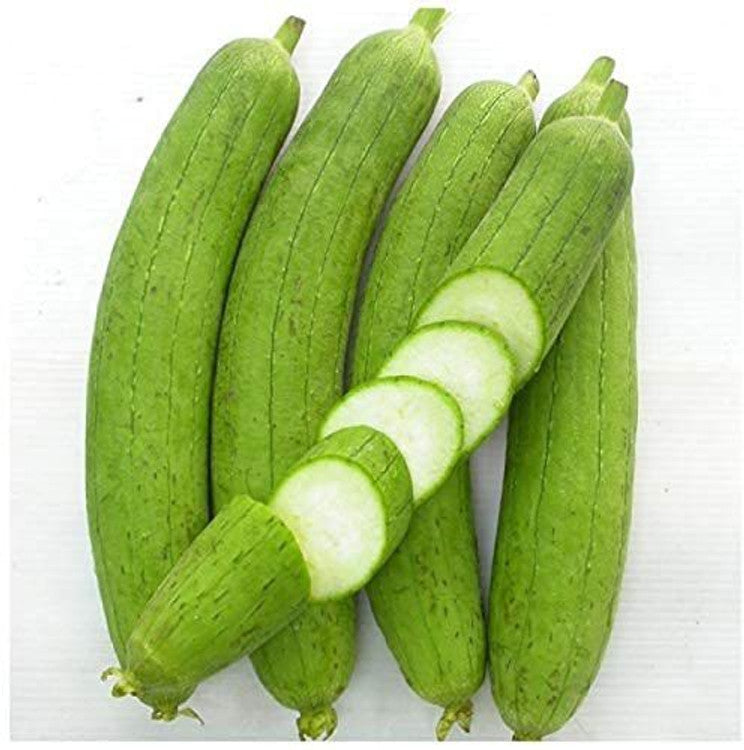 Sponge Gourd, F1 Hybrid (SUMMER) گھیا توری
