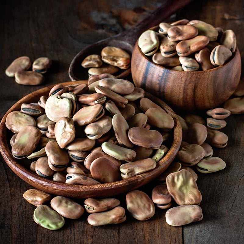 FAVA Beans (Broad Beans) {WINTER}
