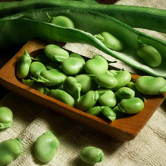 FAVA Beans (Broad Beans) {WINTER}