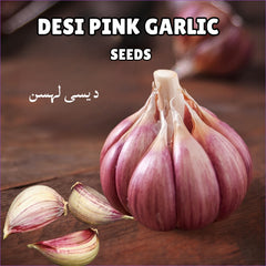 Desi Pink Garlic Seeds - 100g