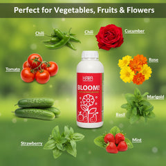 GROW & BLOOM Deal (500ml)