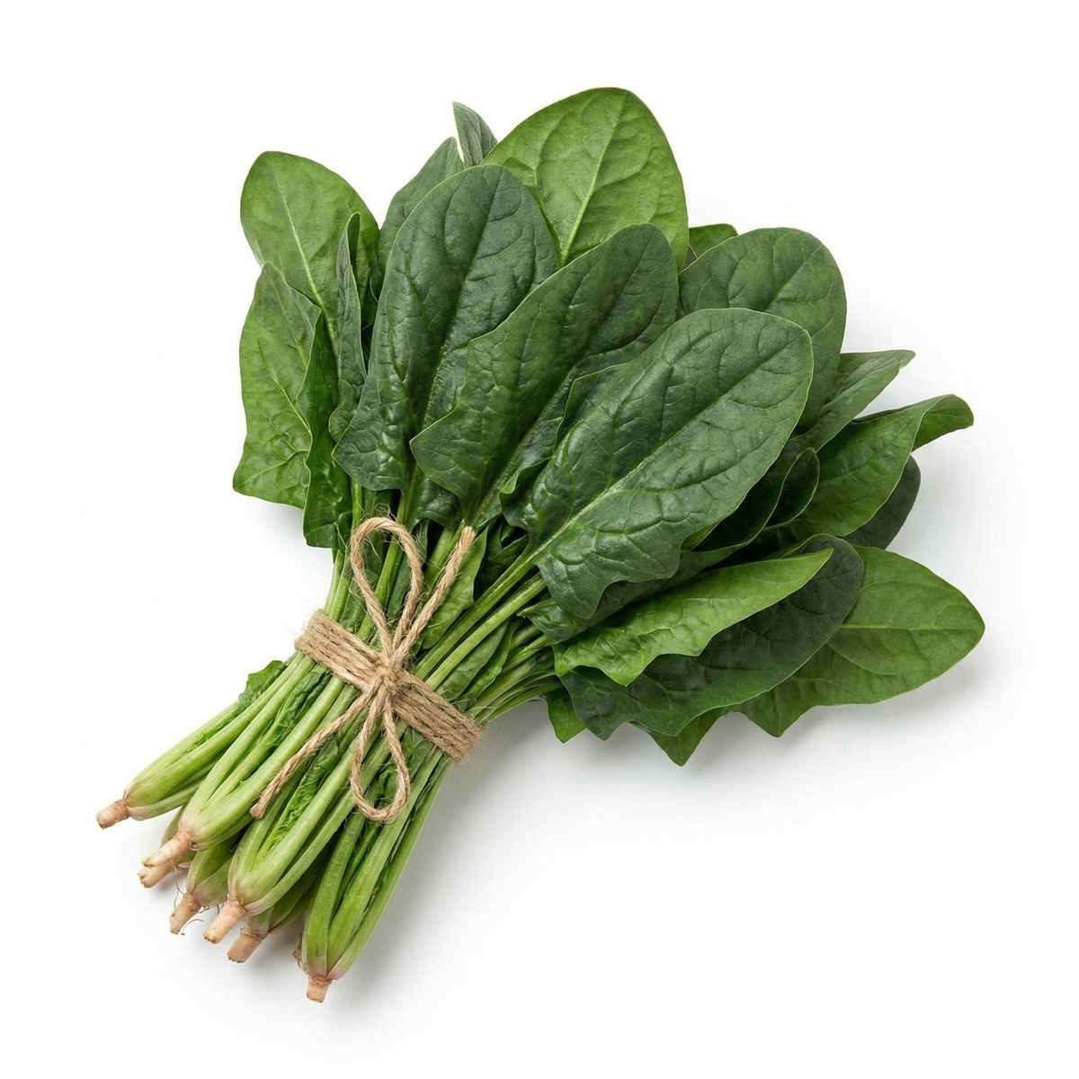 Lahori Palak Seeds (Cut Leaved) {WINTERS}
 دیسی لاہوری پالک