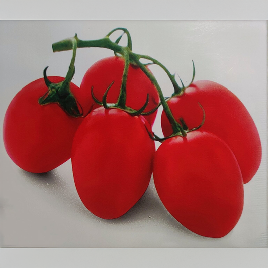 Tomato Seeds - F1 Hybrid - RONCO (Determinate) {WINTER}