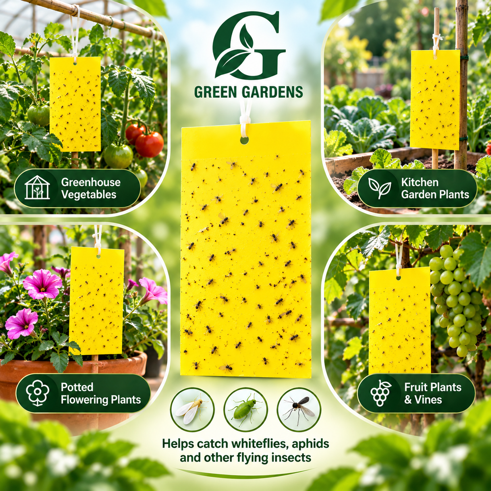 Yellow sticky traps for vegetables flowers fruit plants and kitchen gardens